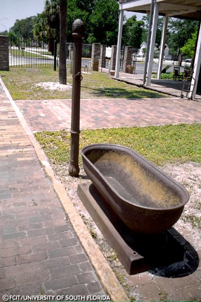 Trough