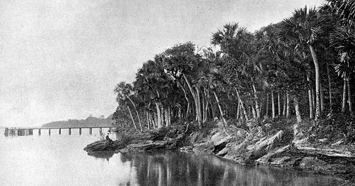 The Shore, Rockledge, Florida