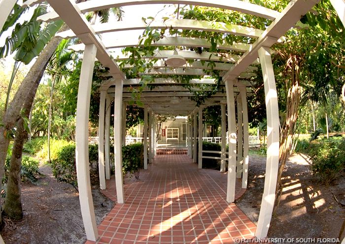 Covered walkway