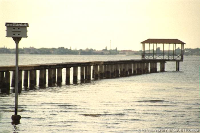 Dock on the Caloosahatchee River