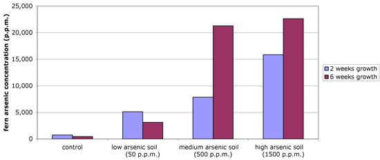 Fern graph showing arsenic concentration as a function of growth time