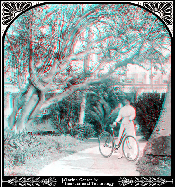 Bicyclist