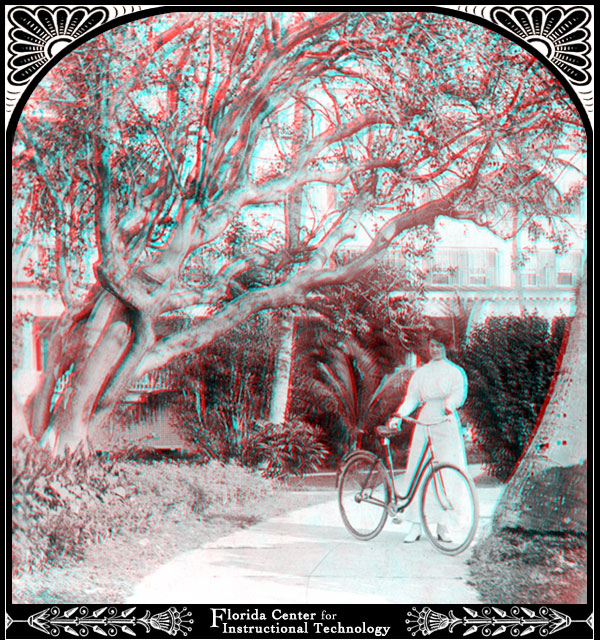 Bicyclist