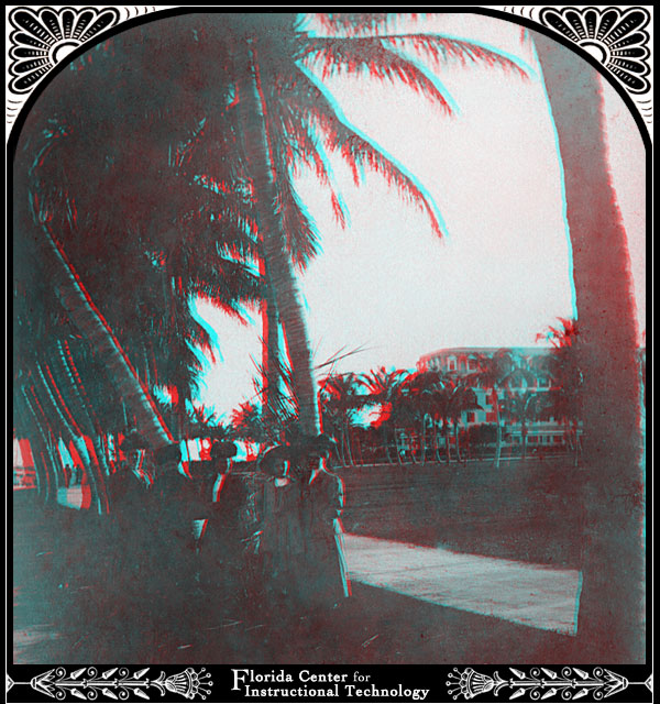 Palm Tree Portrait