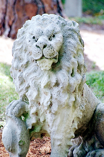 Sculpture of a lion