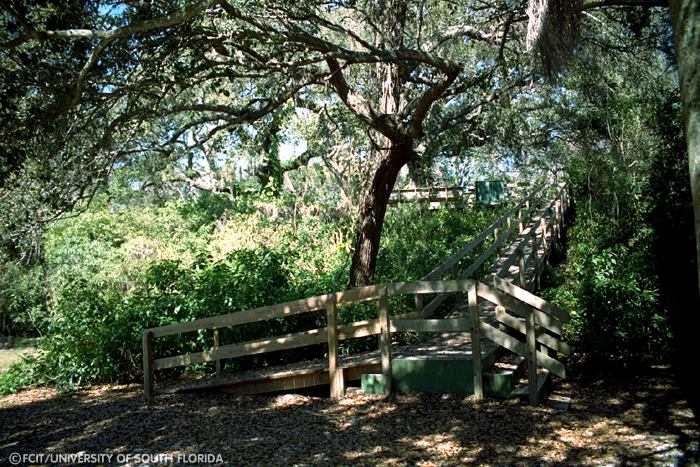 View from the top of the mound