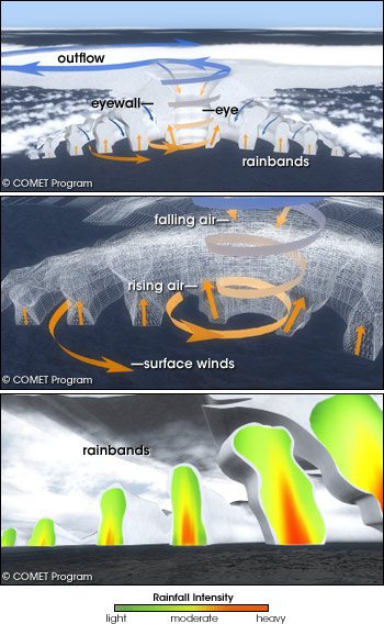 illustration of air flow and rainfall intensity within a hurricane