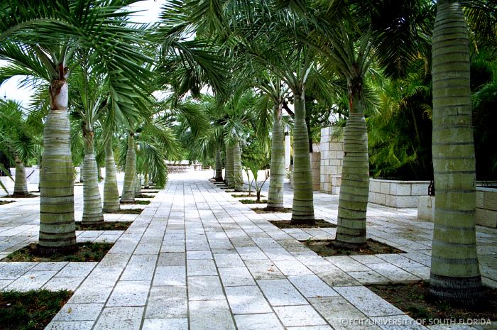 Photograph of the Miami Beach Holocaust Memorial