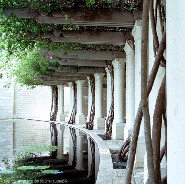 Photograph of the Miami Beach Holocaust Memorial