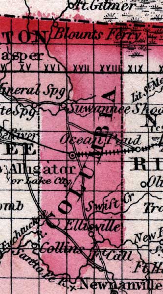 Map of Columbia County, Florida, 1863