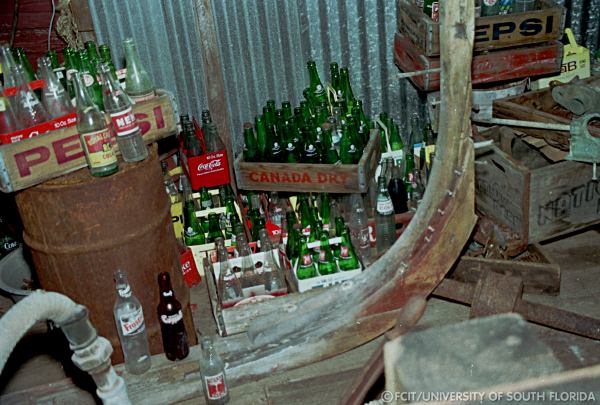 Coca-Cola, Pepsi, and Canada Dry bottles