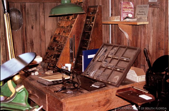 Typeset area