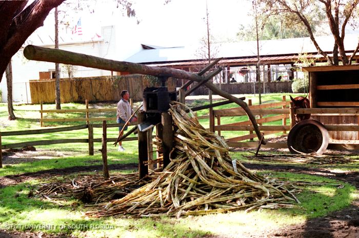 Sugar cane mill