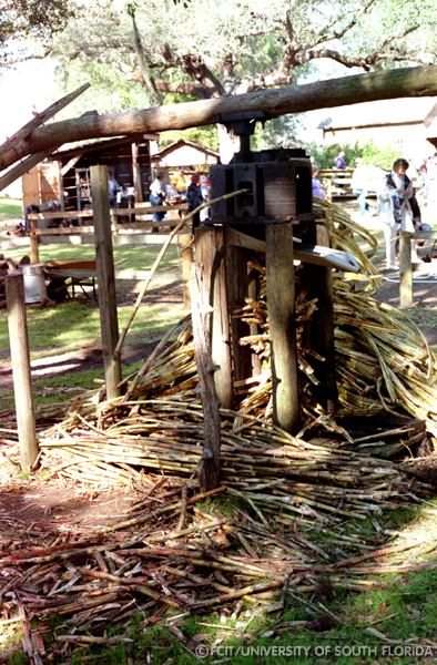 Sugar cane mill