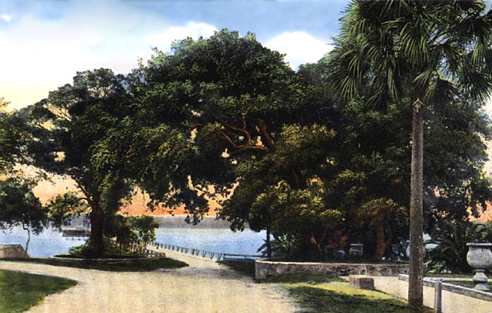 Ocean Boulevard, Daytona, Florida
