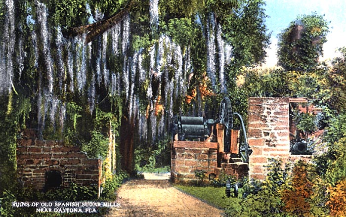 Sugar Mill Ruins, Daytona, Florida