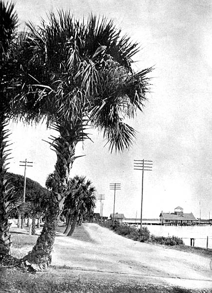 Beach Street, Daytona, Florida