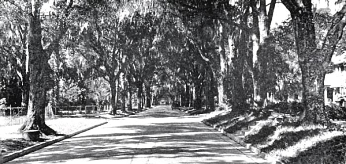 Street Scene, DeLand, Florida