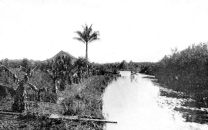 Miami River