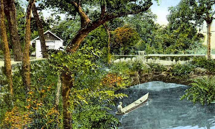 Arch Creek