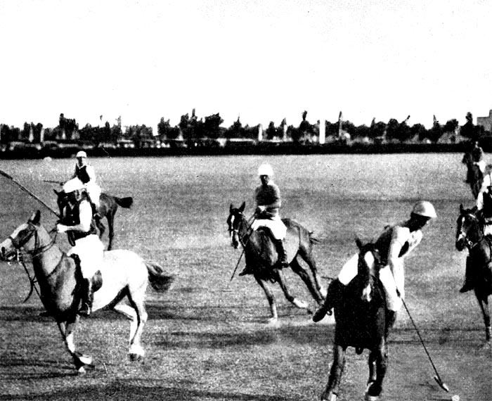 Polo