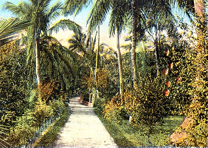 Garden of Eden