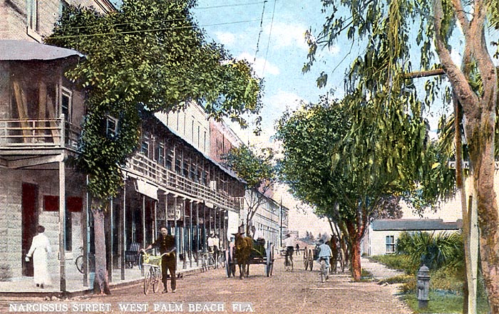 Narcissus Street