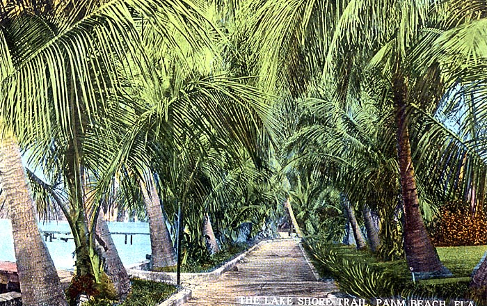 The Lake Shore Trail