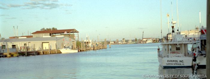 Harbor