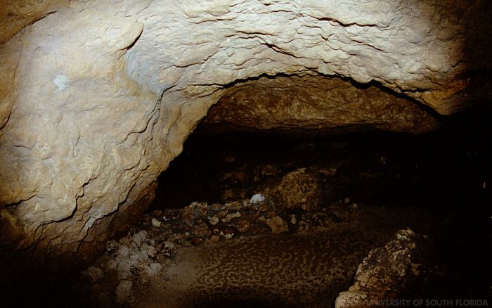 Cave interior