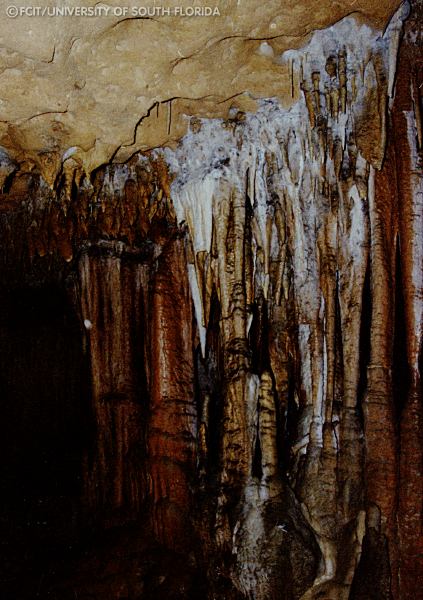 Stalactites