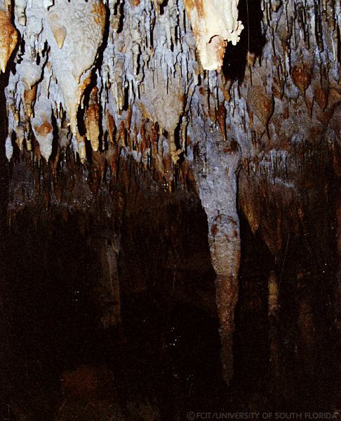 Stalactites