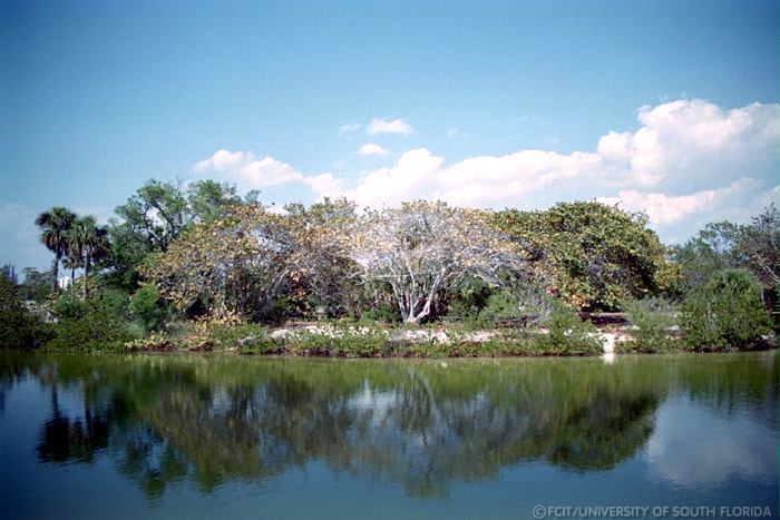 View of the river