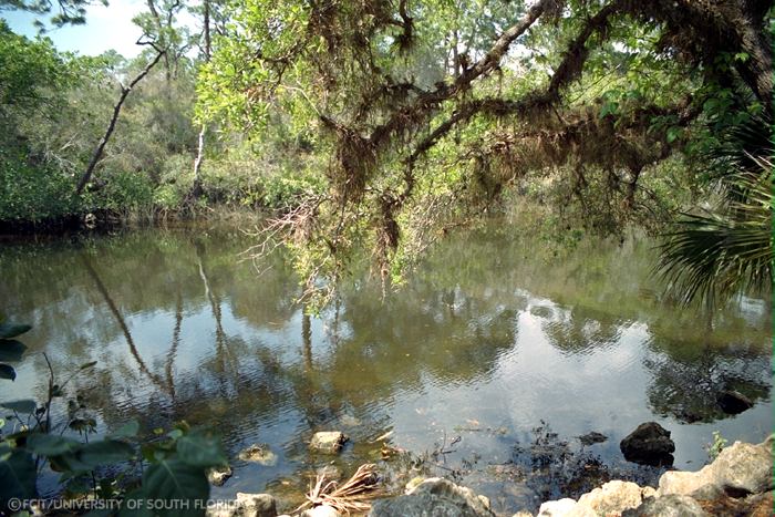 View of the river