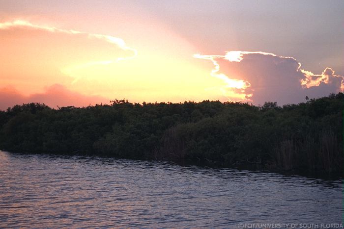 Early sunset