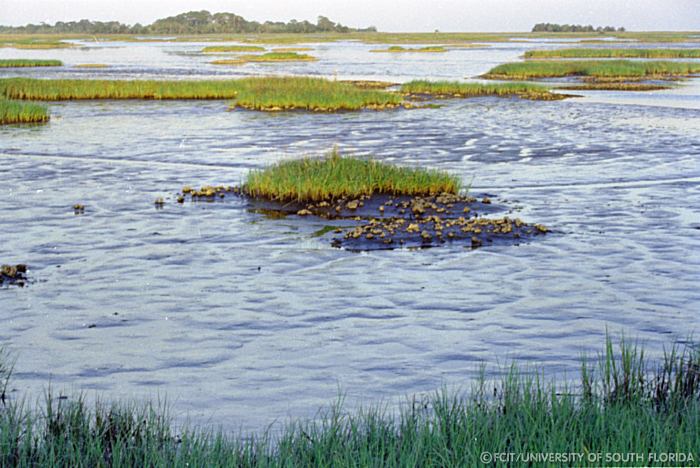 Scenic view of the water