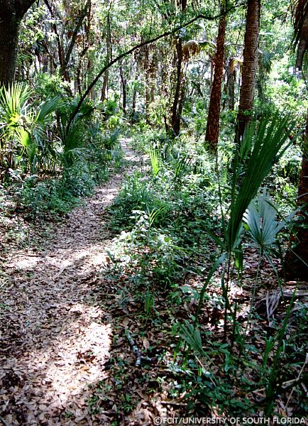 Nature trail