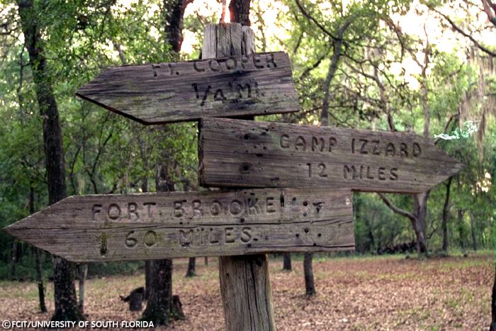 Wooden milepost