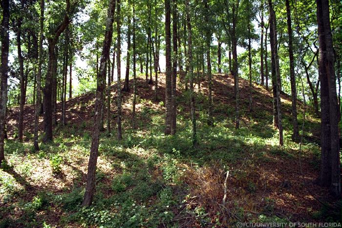 Mound