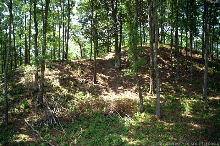 Mound