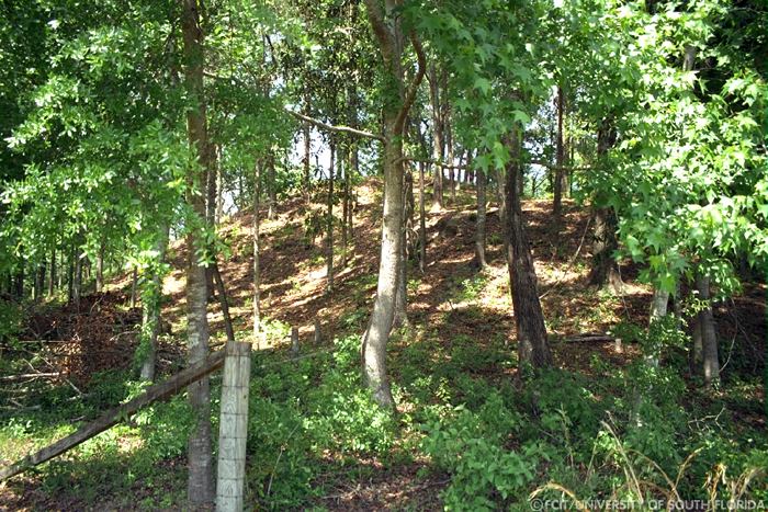 Mound