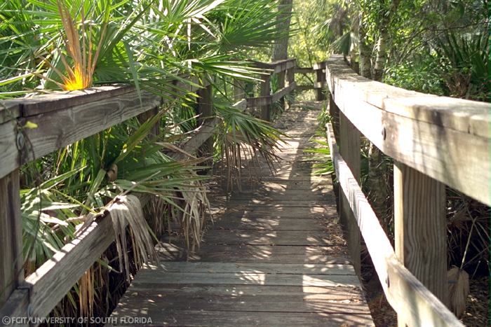 Boardwalk