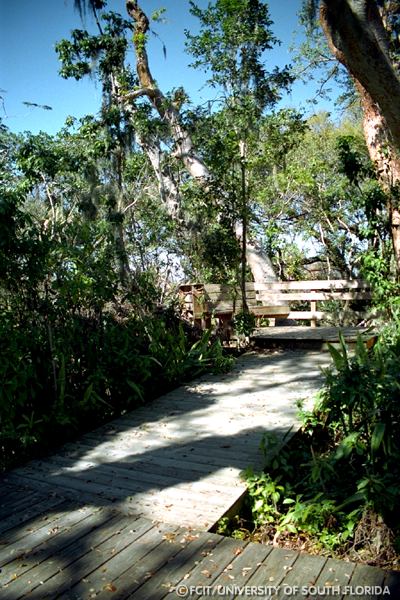 View from the top of the mound