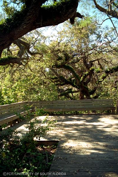 View from the top of the mound