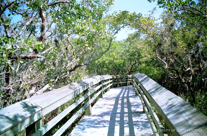 Boardwalk