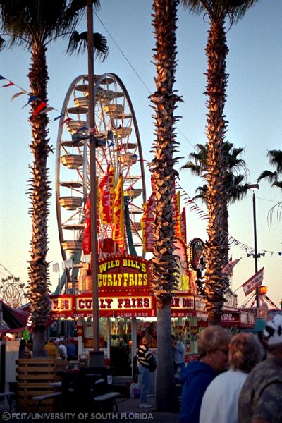 Ferris Wheel