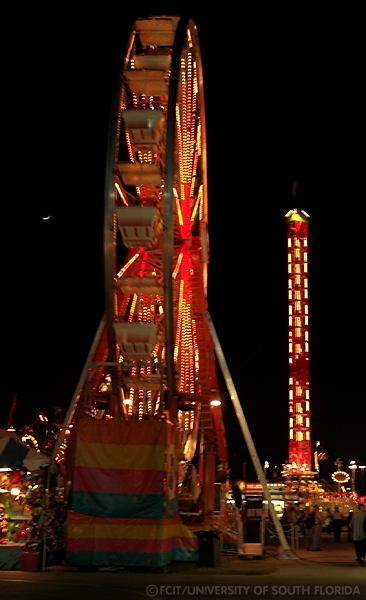 Ferris Wheel