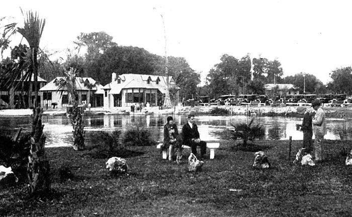 On the shore. Silver Springs, Florida